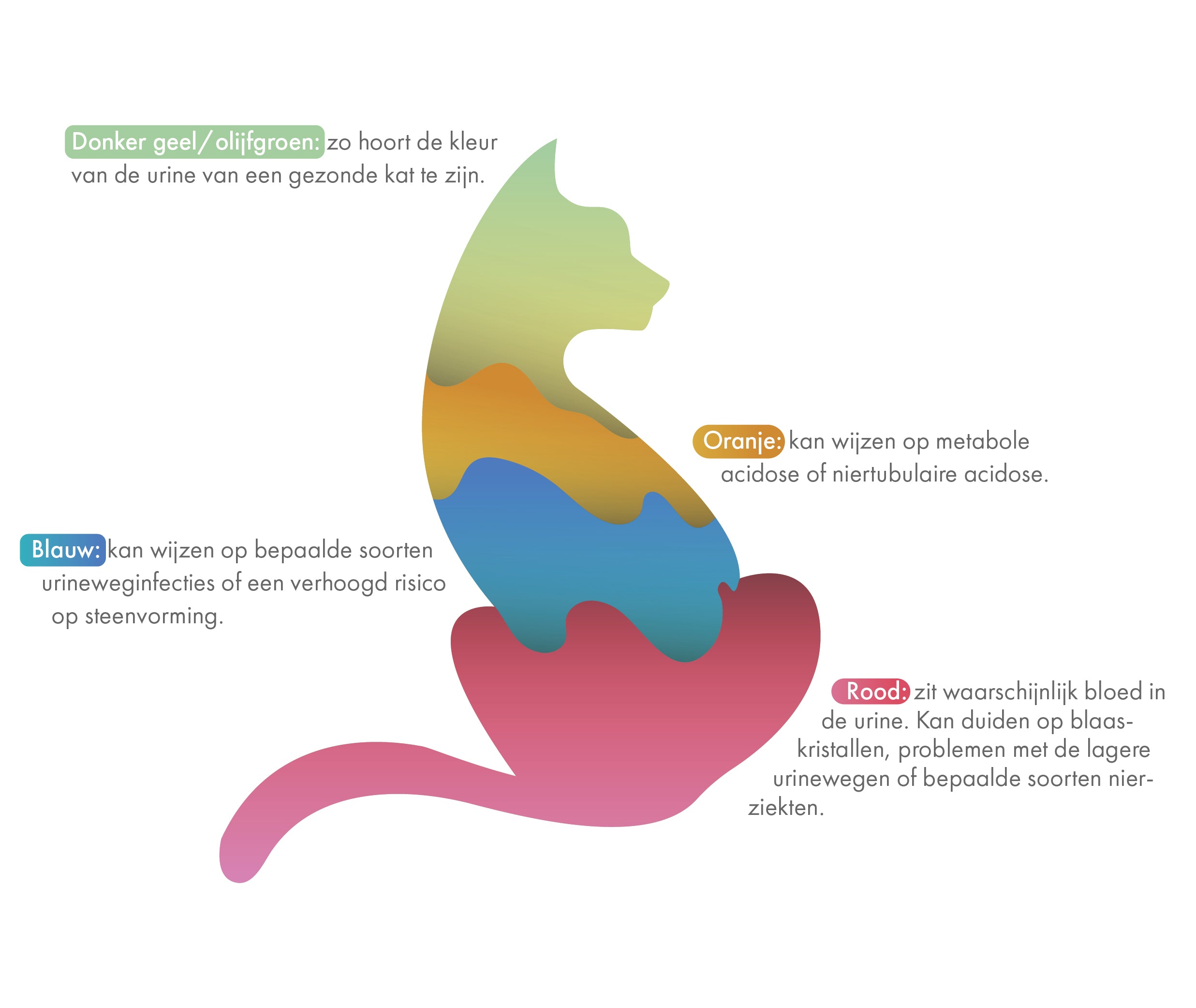 Carefelis_-_Packaging_Design-01_fb70b8a4-6f19-4c85-a45d-db1a12675fb2 (1) Carefelis