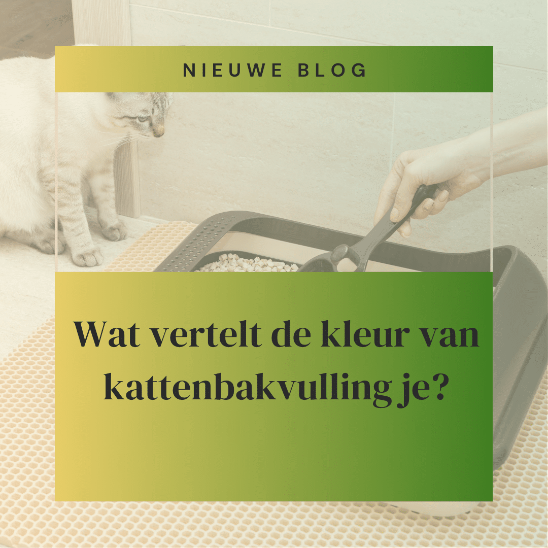 kleur van je kattenbakvulling